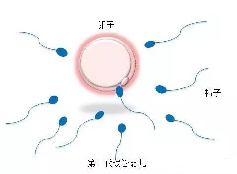 北京助孕包成功服务